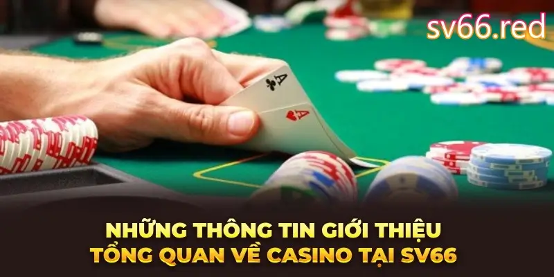 Những thông tin giới thiệu tổng quan về cách chơi casino SV66